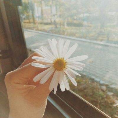 管家婆一码一肖资料app下载